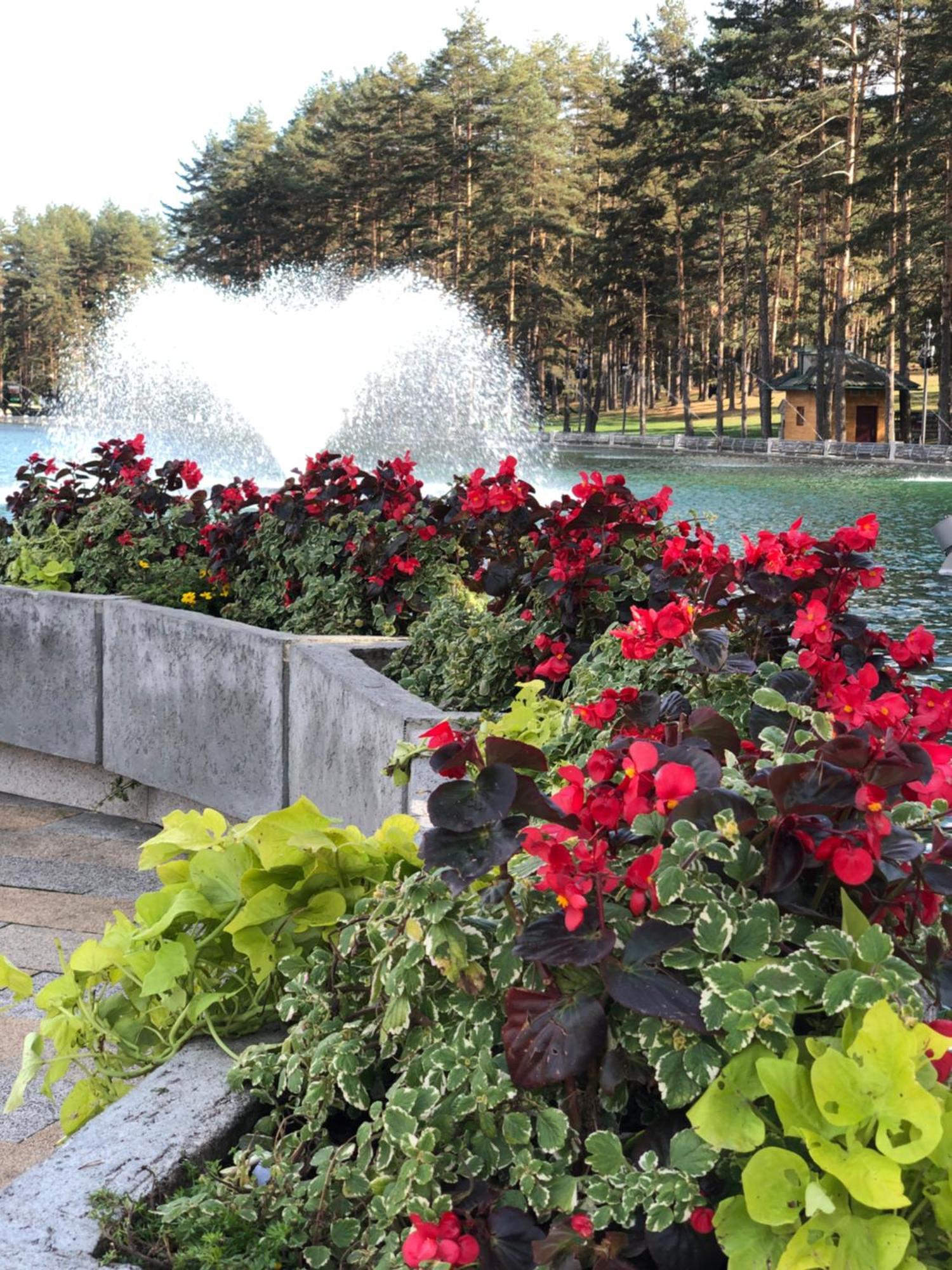 Danijela & Konak Apartment Zlatibor Bagian luar foto